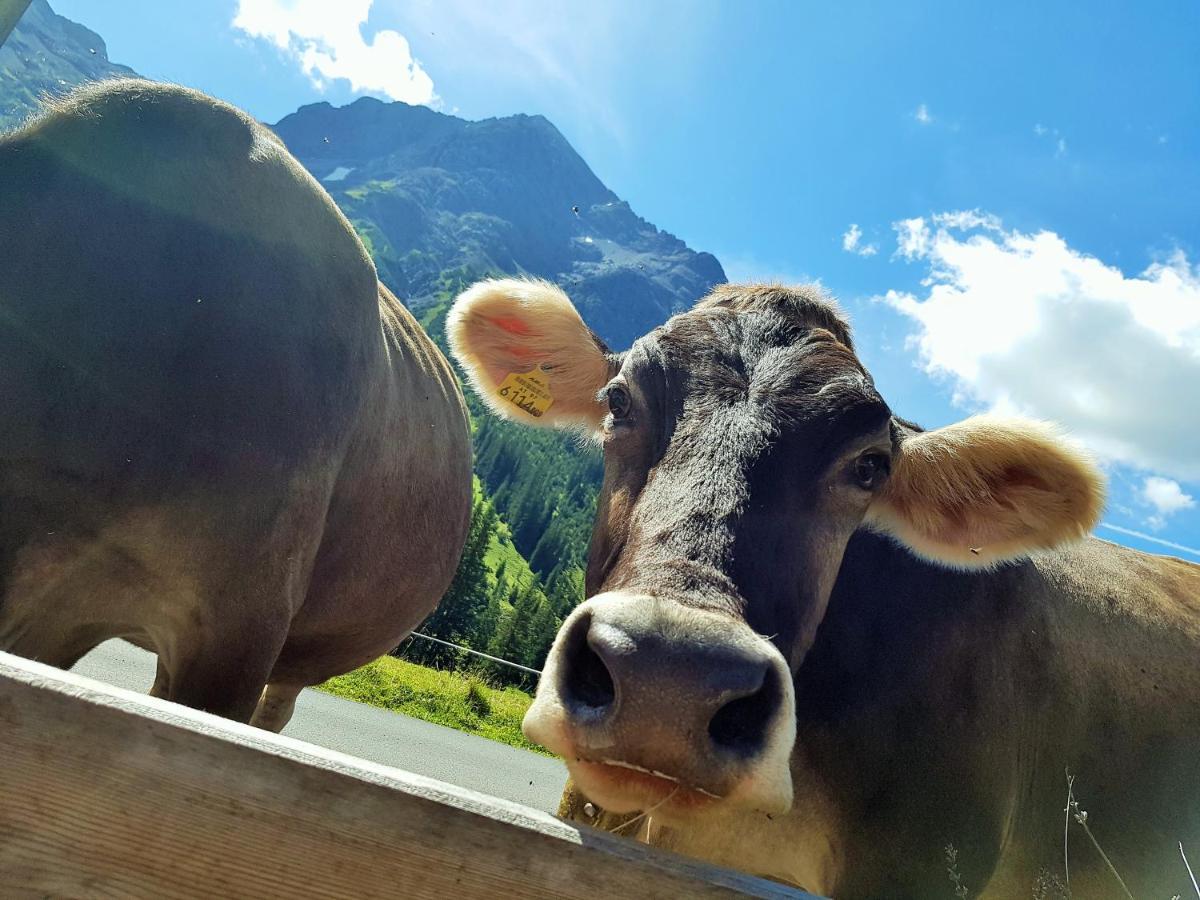 Gasthof Auerhahn Lech am Arlberg Eksteriør billede